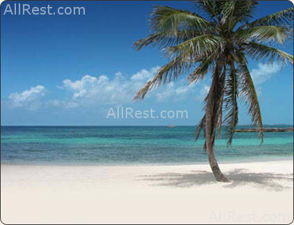 Atlantis Paradise Island Resort 42